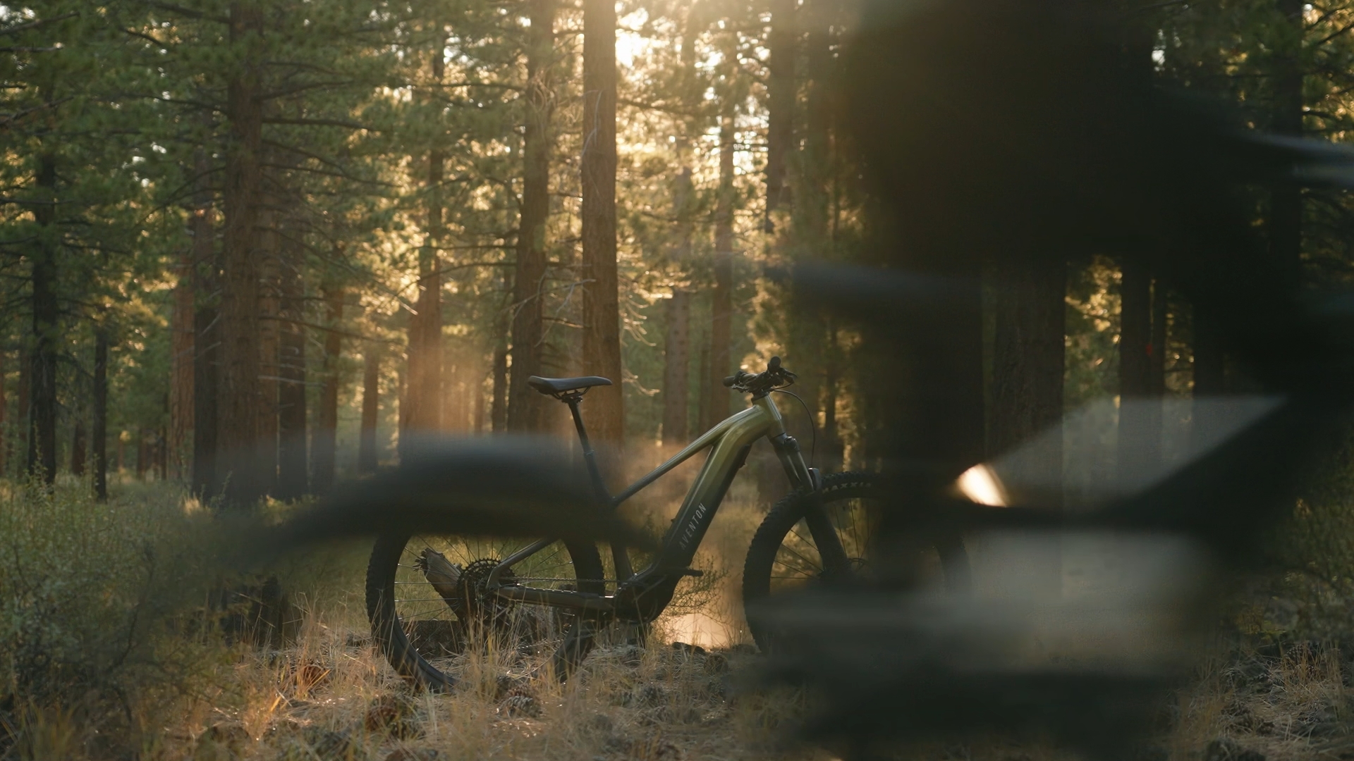 Ramblas ADV TOFU review frame on a forest trail