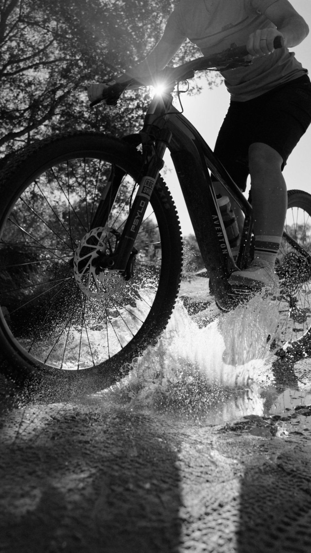 Vertical Ramblas ADV teaser frame
